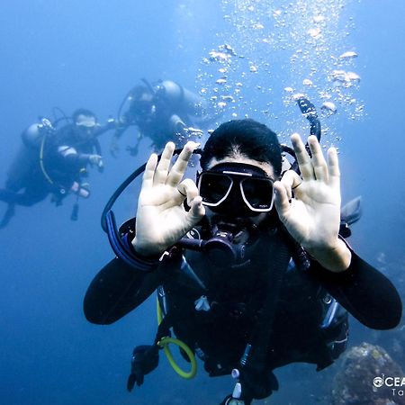 تاجانجا Ocean Lovers Hostel & Apartments المظهر الخارجي الصورة